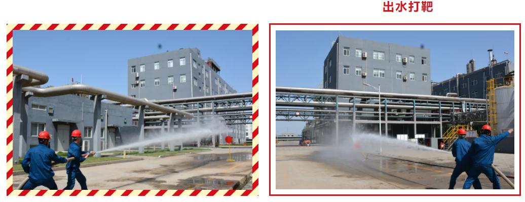 bevictorΰµÂ¹ÙÍø - ΤµÂ¹Ù·½ÍøÕ¾