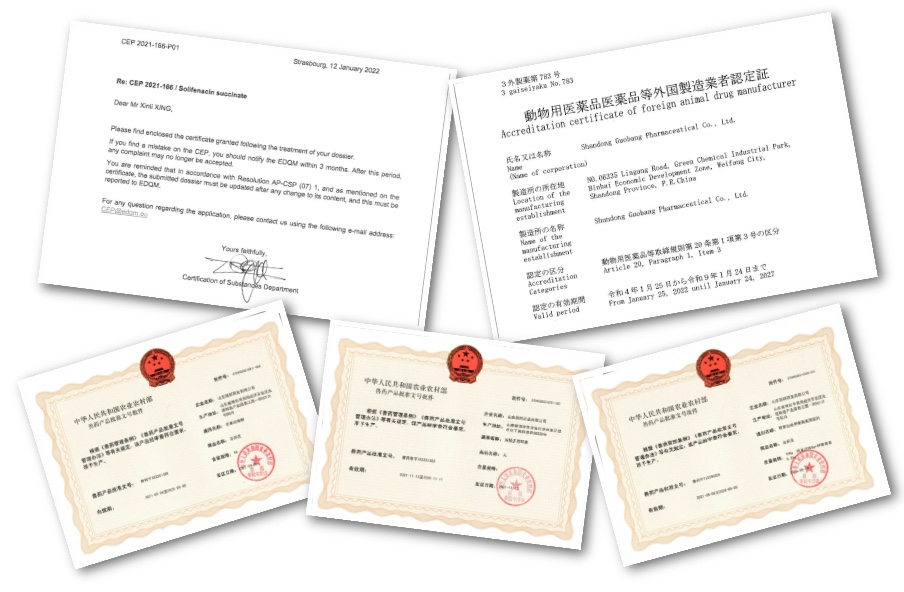 bevictorΰ�¹��� - Τ�¹ٷ���վ