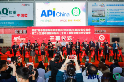 Τ����վ�ٷ����ҽҩ�����87��API Chinaչ��